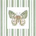 Image Not Available